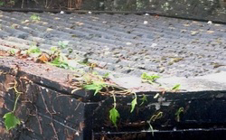 Weathered corrugated garage roof