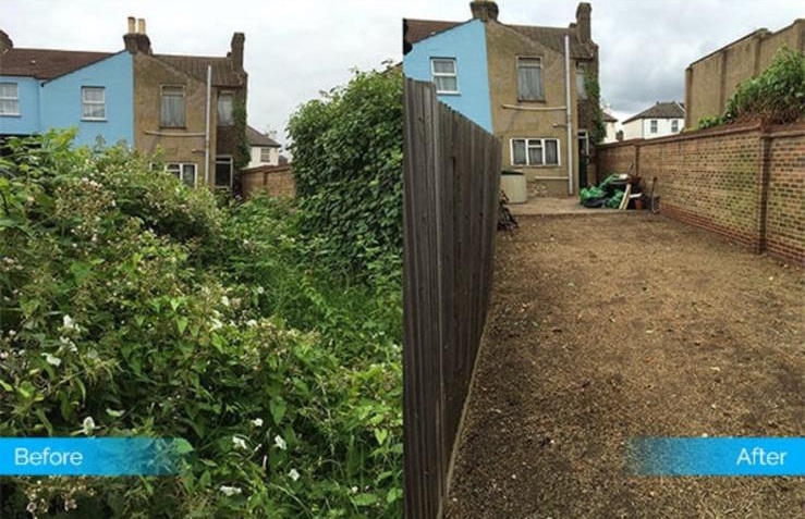 Garden site shown before and after clearance